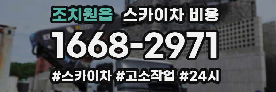 조치원읍 스카이차 비용