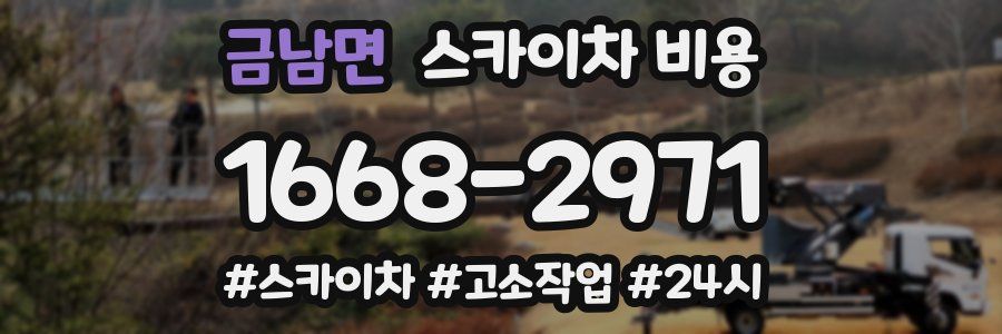 금남면 스카이차 비용