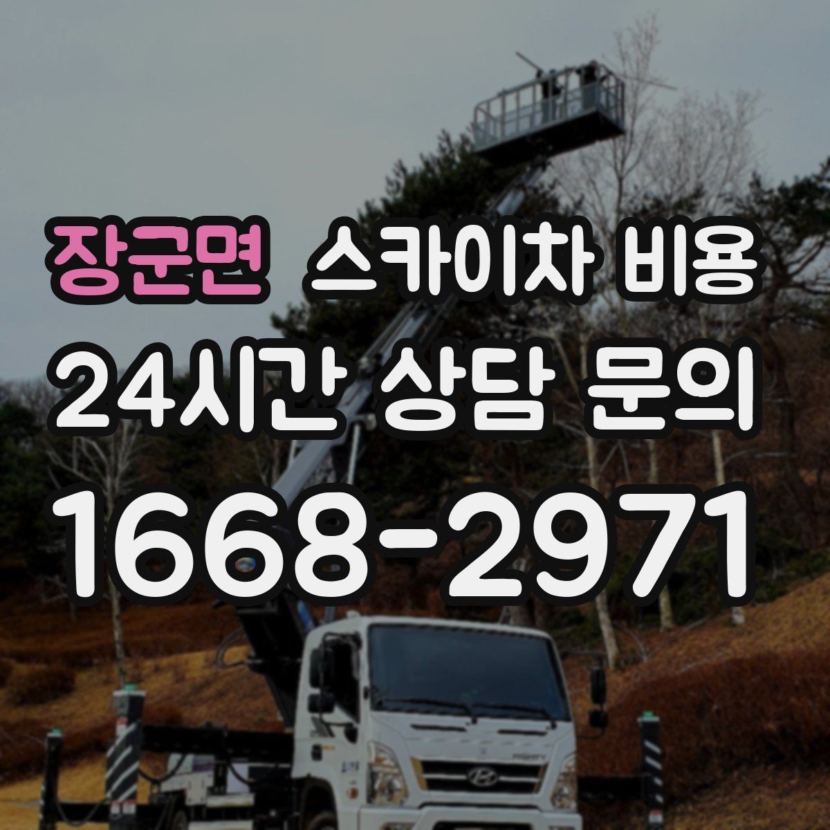 장군면 스카이차 비용 나무 가지치기 작업은 어떤 기준으로 볼까