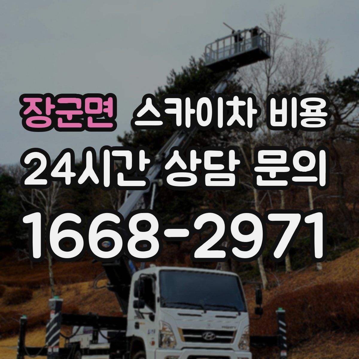 장군면 스카이차 비용