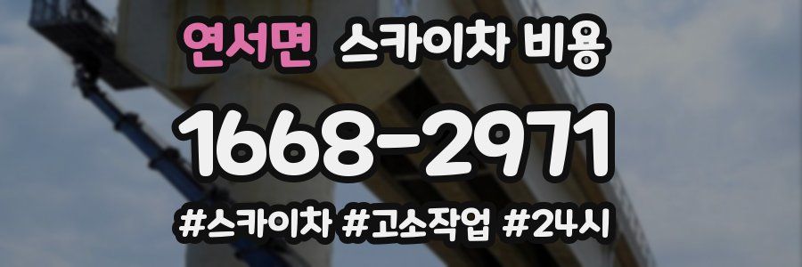 연서면 스카이차 비용