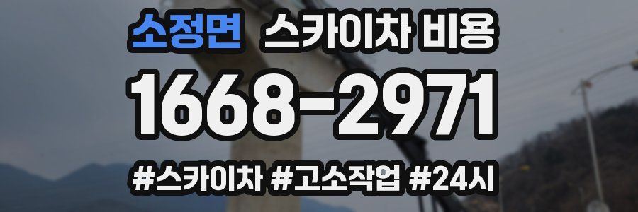 소정면 스카이차 비용