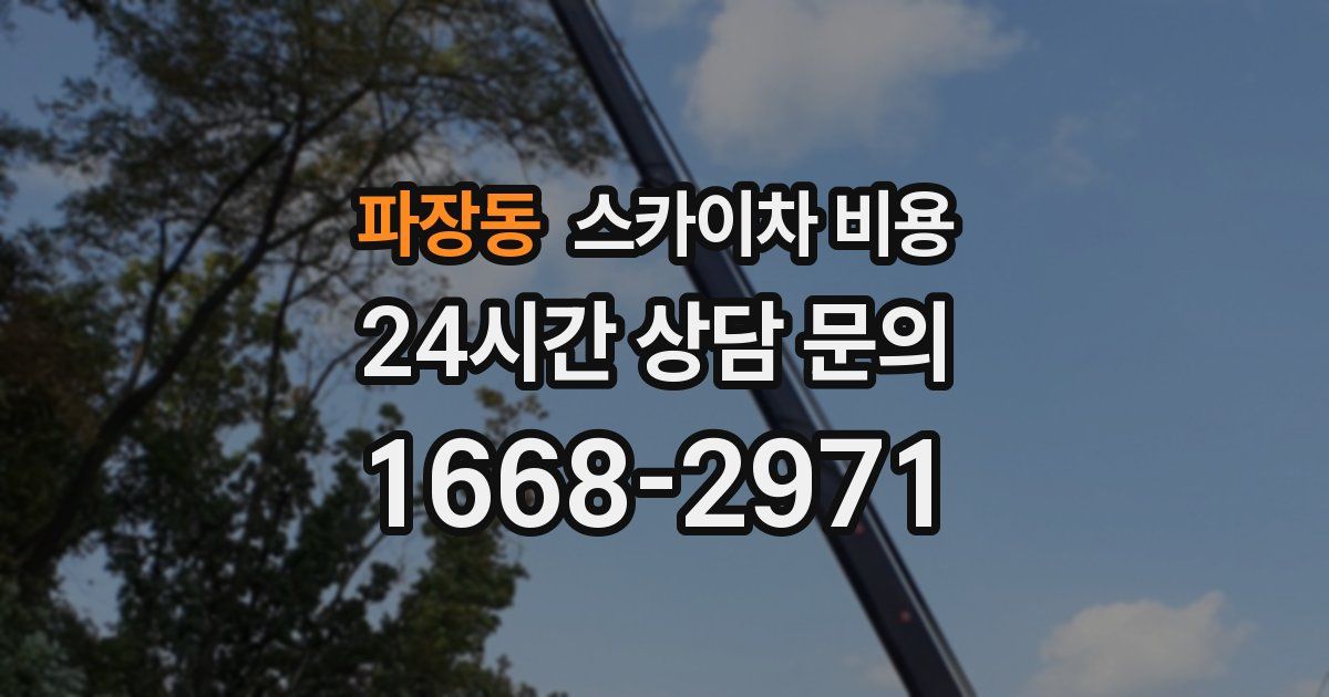 파장동 스카이차 비용