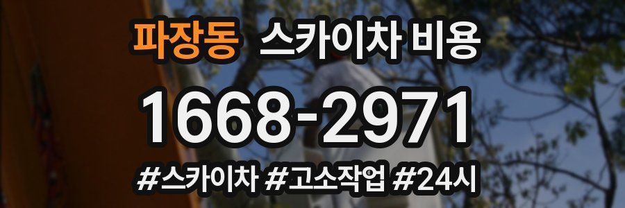 파장동 스카이차 비용