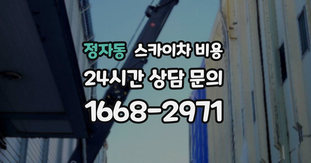 정자동 스카이차 비용