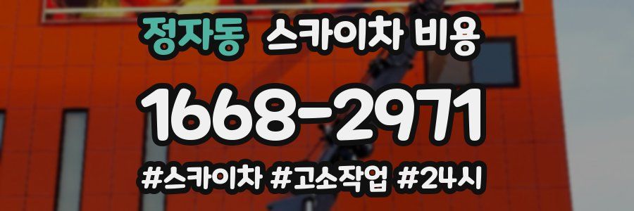 정자동 스카이차 비용