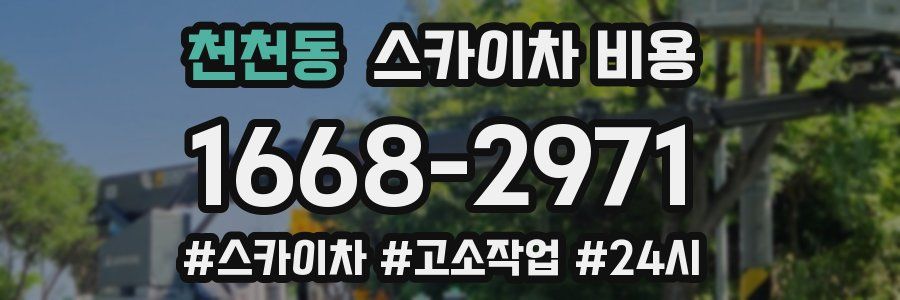 천천동 스카이차 비용