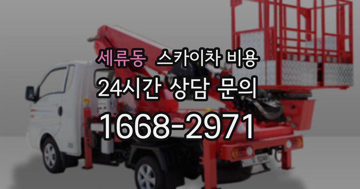 세류동 스카이차 비용