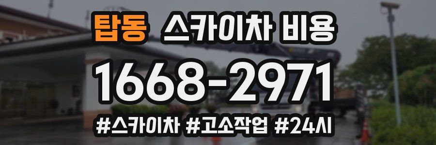 탑동 스카이차 비용