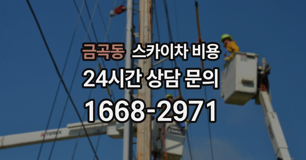 금곡동 스카이차 비용