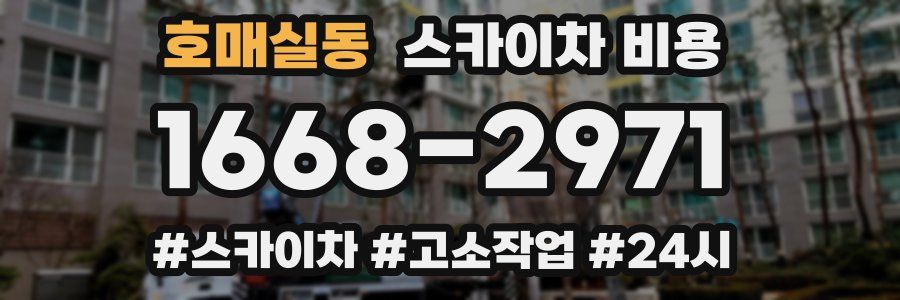 호매실동 스카이차 비용