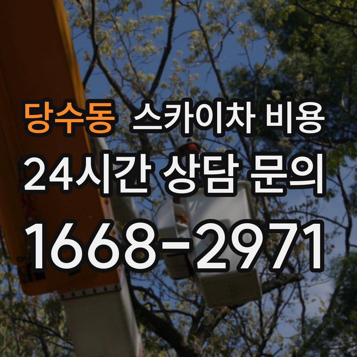 당수동 스카이차 비용 가로수·간판·전선이 동선을 막을 때