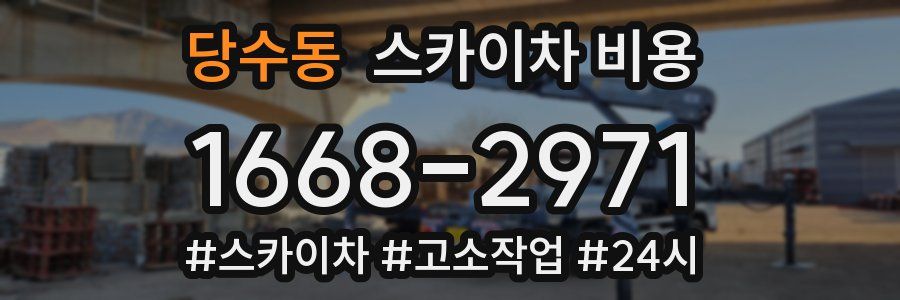 당수동 스카이차 비용