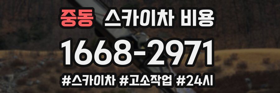 중동 스카이차 비용