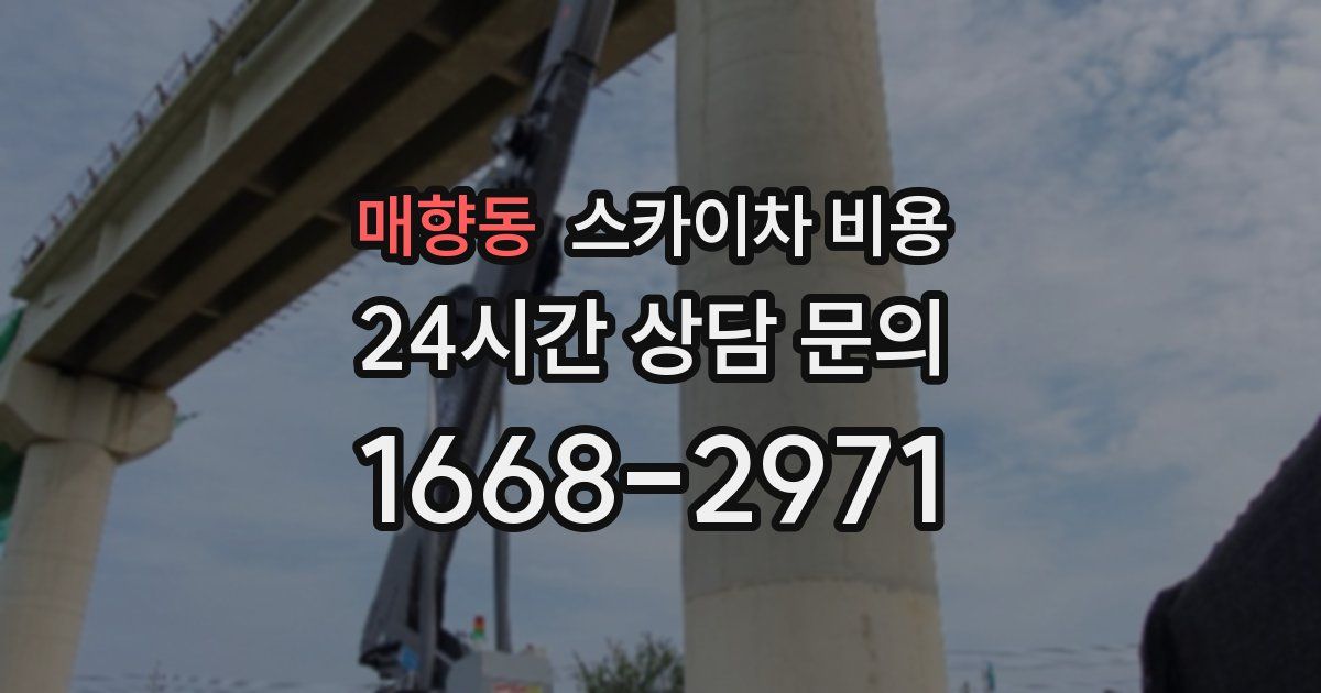 매향동 스카이차 비용