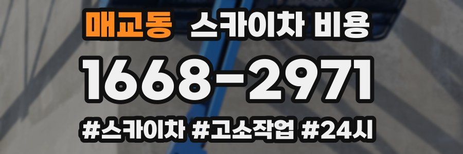 매교동 스카이차 비용