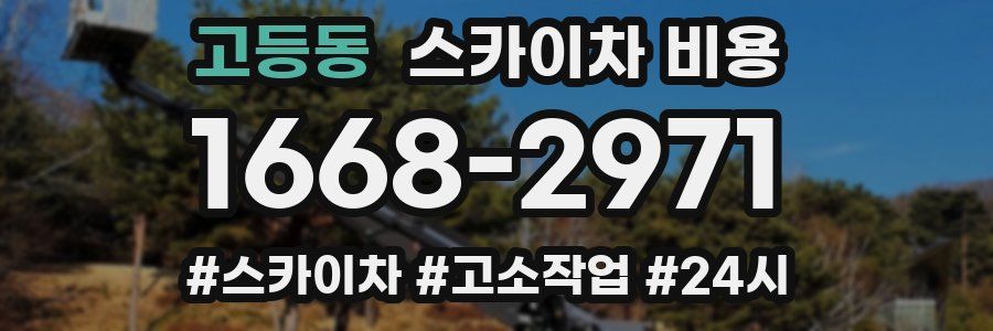 고등동 스카이차 비용