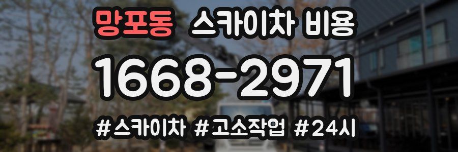 망포동 스카이차 비용