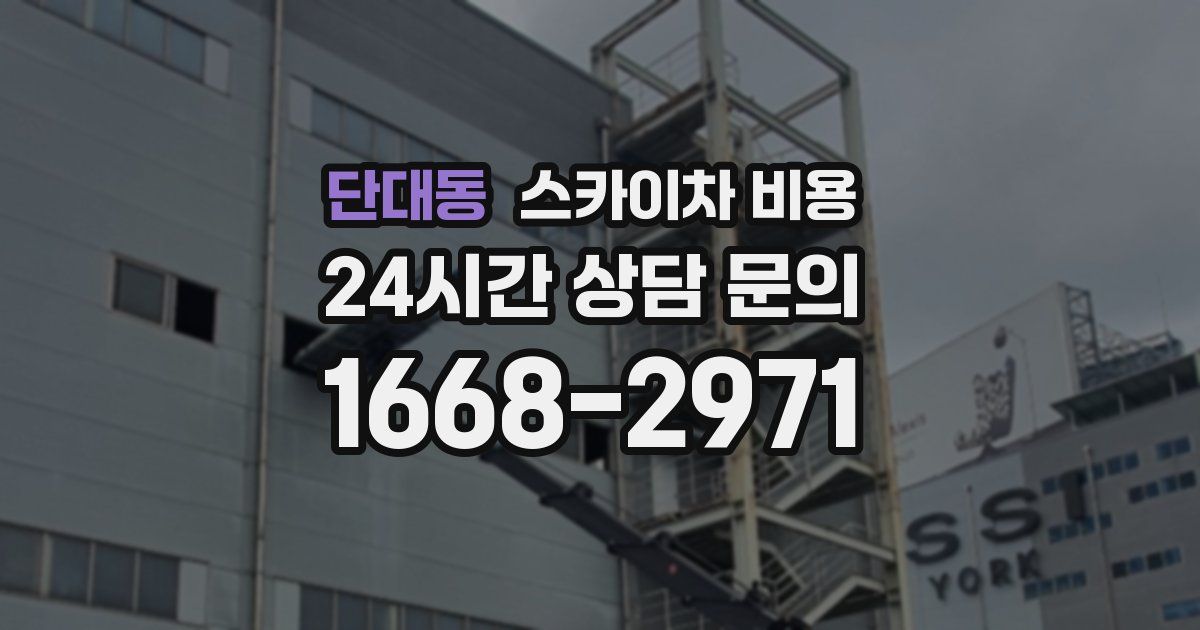 단대동 스카이차 비용