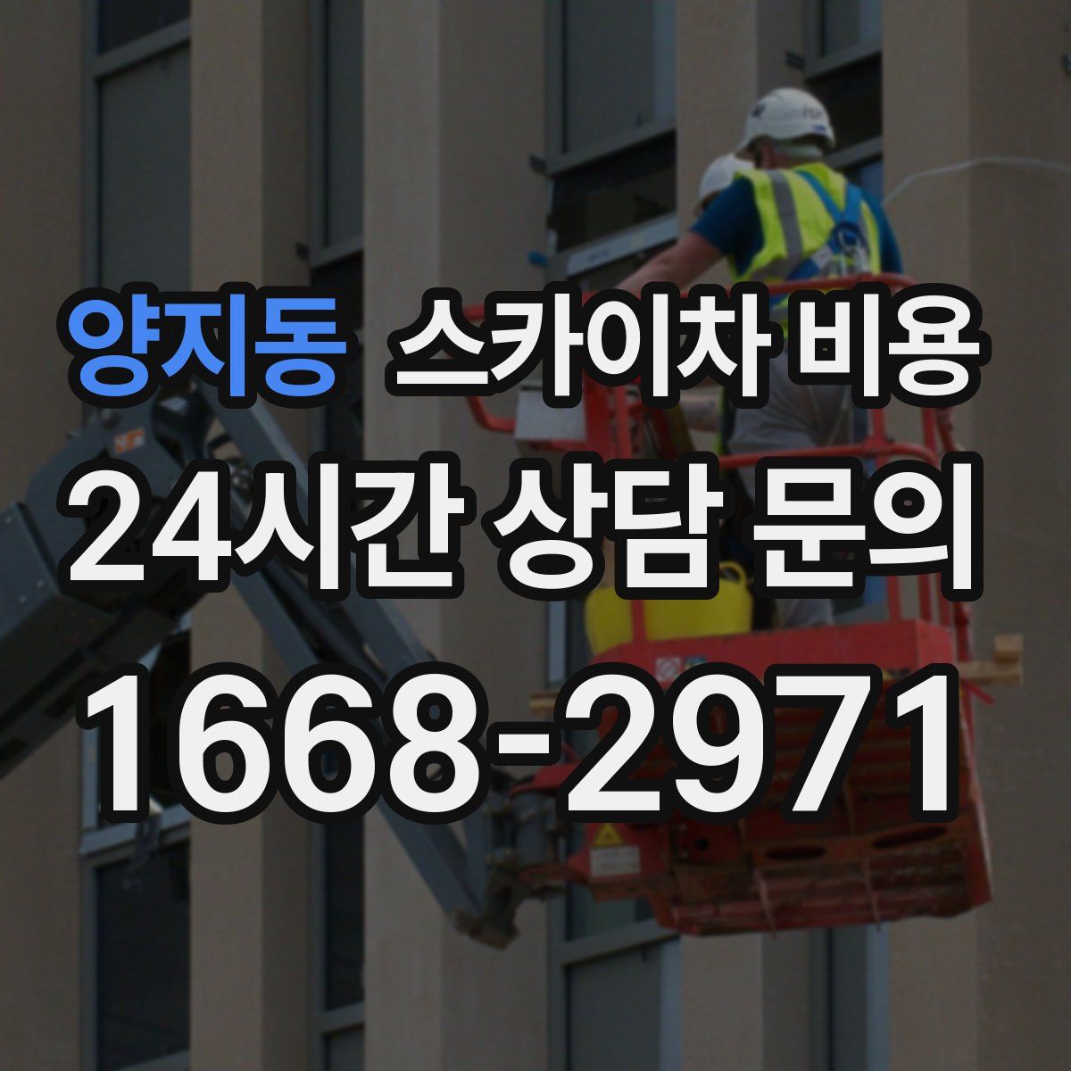 양지동 스카이차 비용