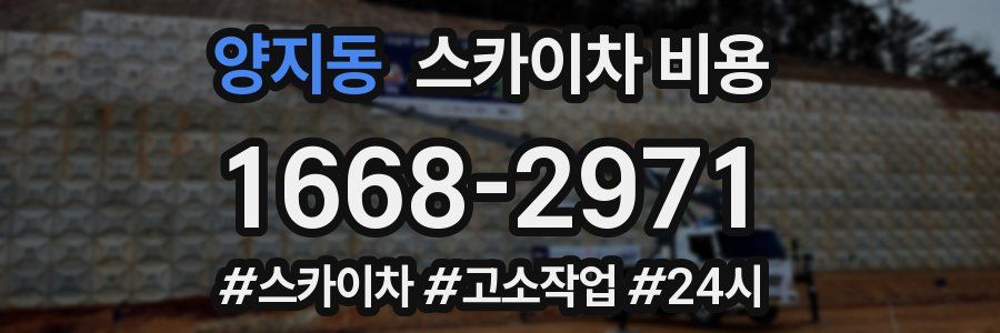 양지동 스카이차 비용