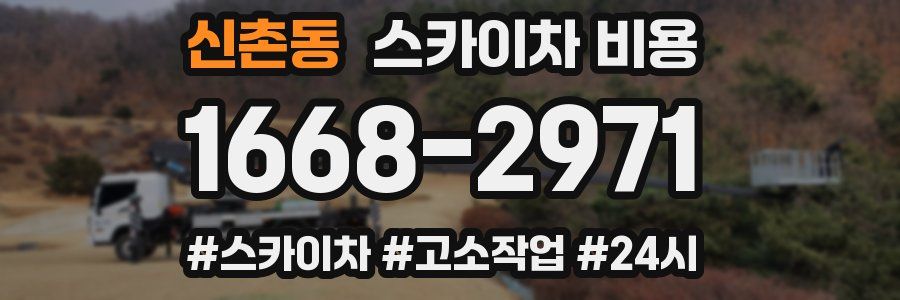 신촌동 스카이차 비용