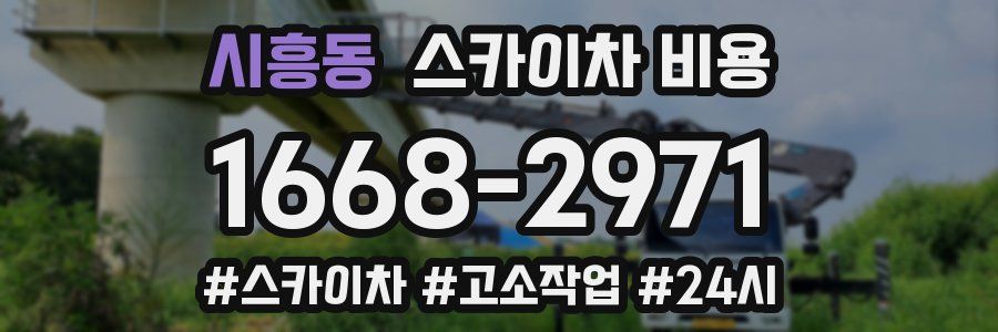 시흥동 스카이차 비용