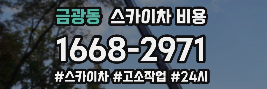 금광동 스카이차 비용