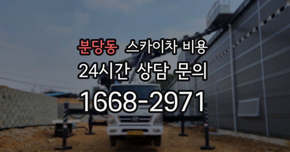 분당동 스카이차 비용