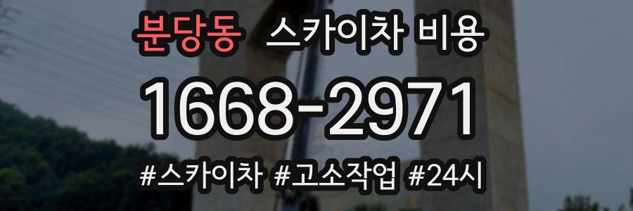 분당동 스카이차 비용