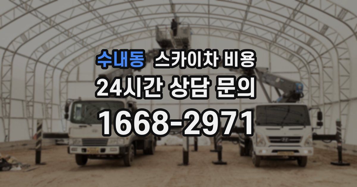 수내동 스카이차 비용