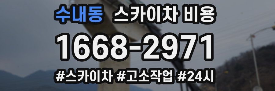 수내동 스카이차 비용