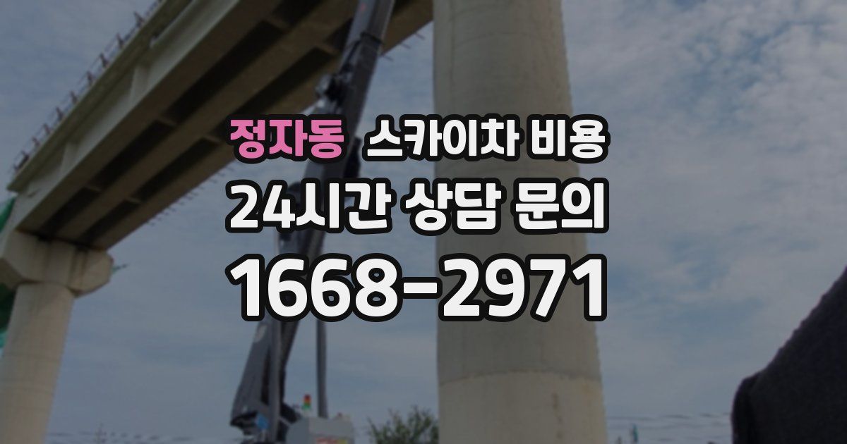 정자동 스카이차 비용