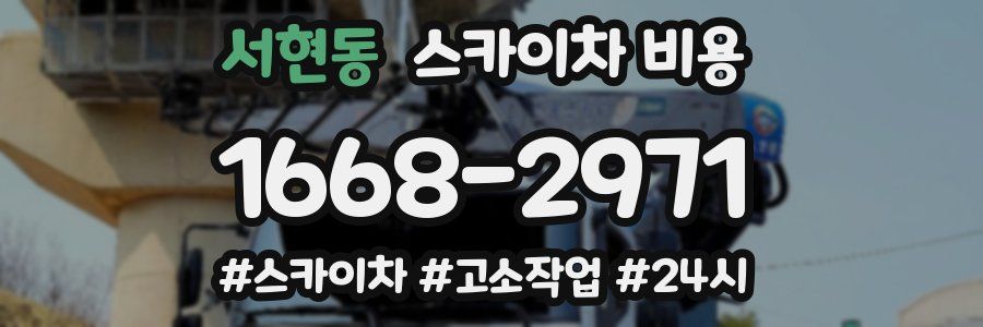 서현동 스카이차 비용