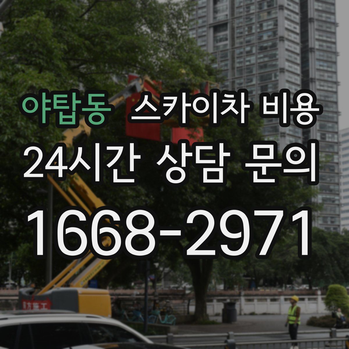 야탑동 스카이차 비용