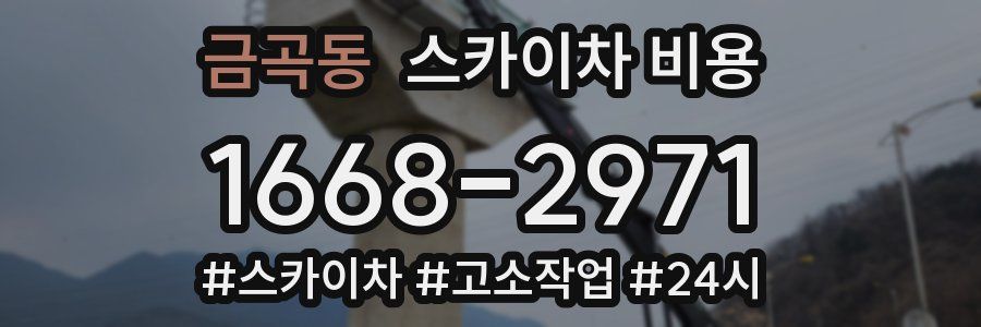 금곡동 스카이차 비용