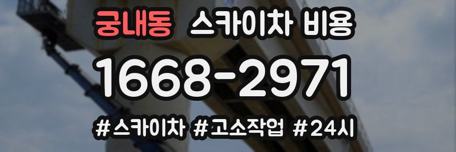 궁내동 스카이차 비용