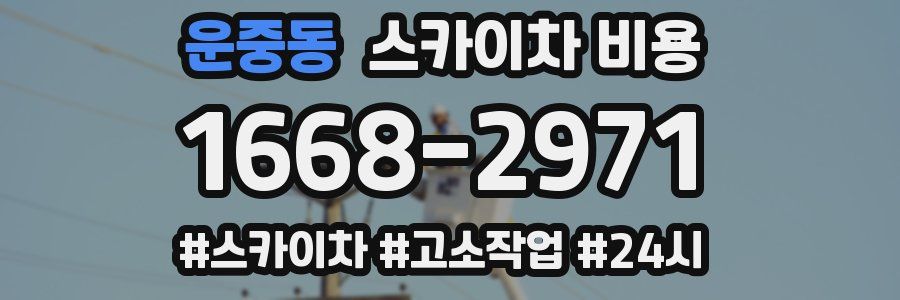 운중동 스카이차 비용