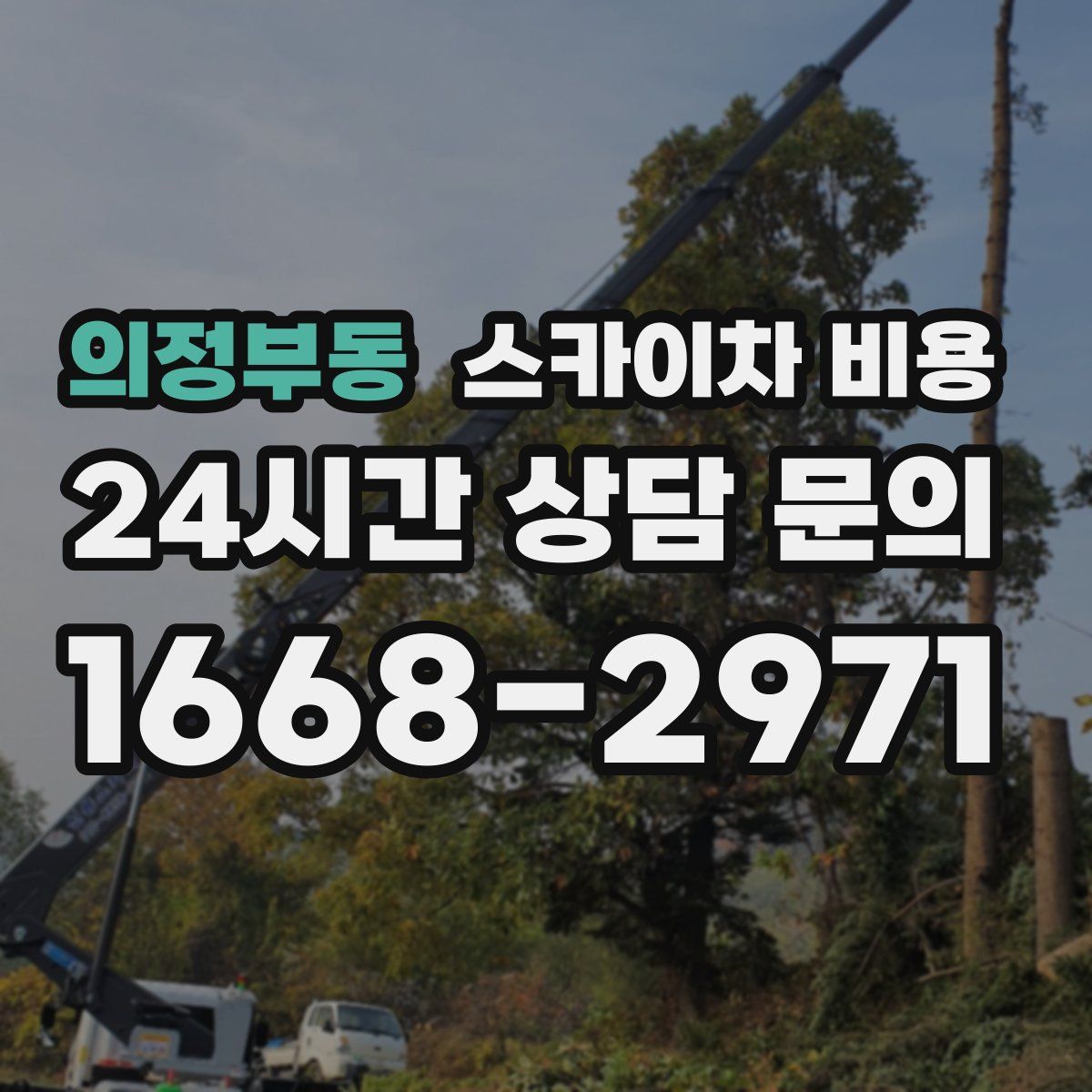 의정부동 스카이차 비용