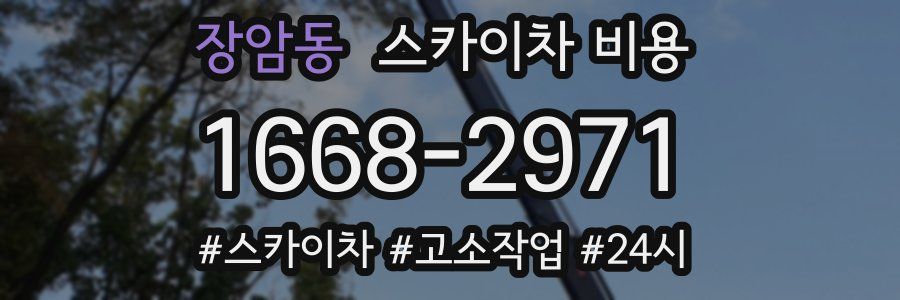 장암동 스카이차 비용