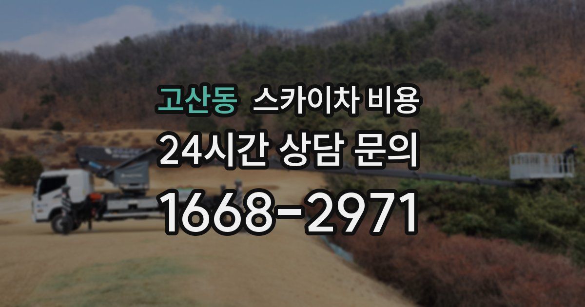고산동 스카이차 비용