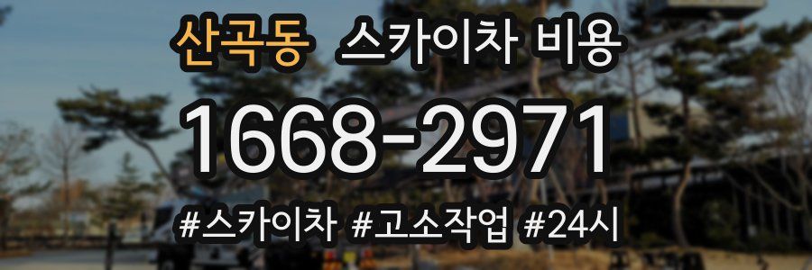 산곡동 스카이차 비용