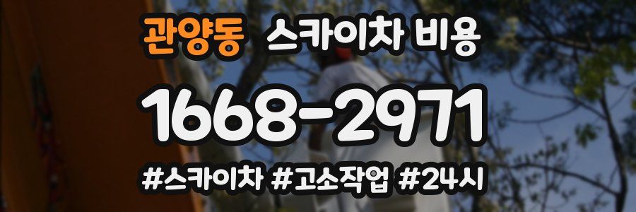 관양동 스카이차 비용