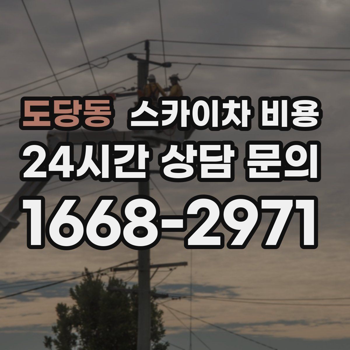 도당동 스카이차 비용 크리스마스 조명 설치는 무엇이 변수가 될까