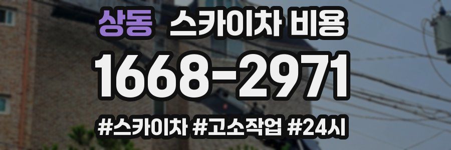 상동 스카이차 비용