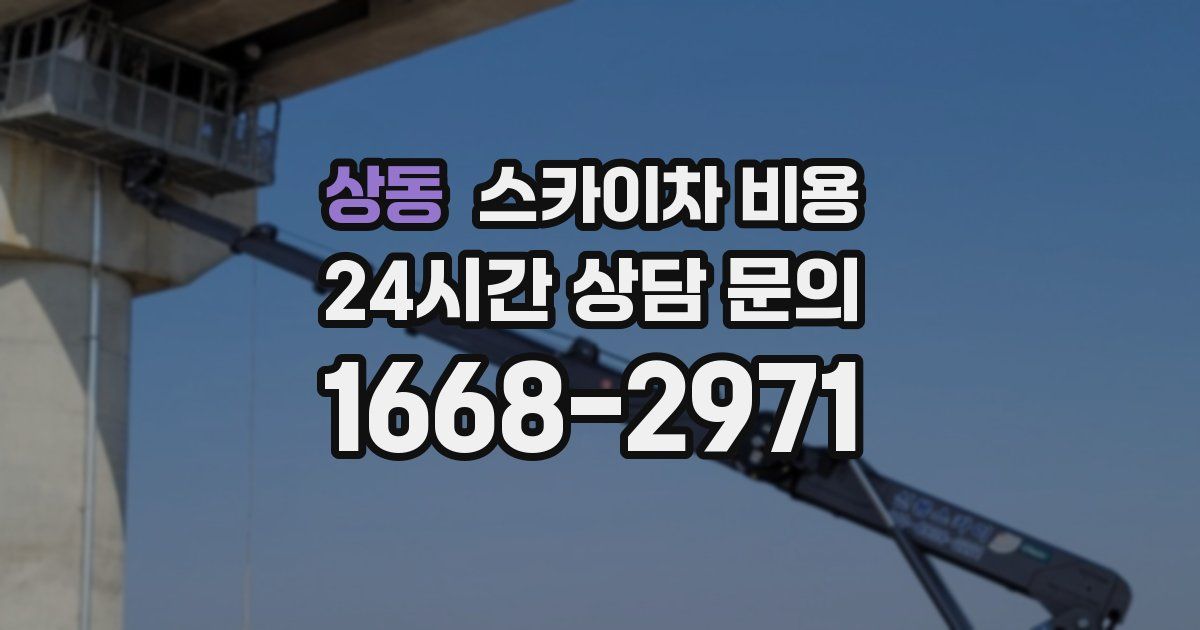 상동 스카이차 비용