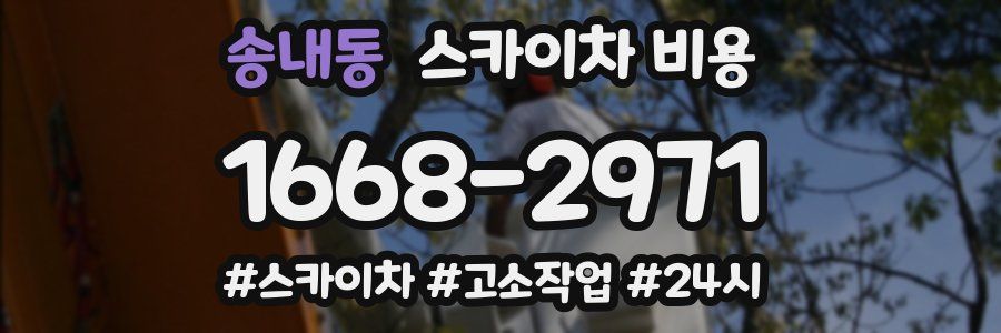 송내동 스카이차 비용