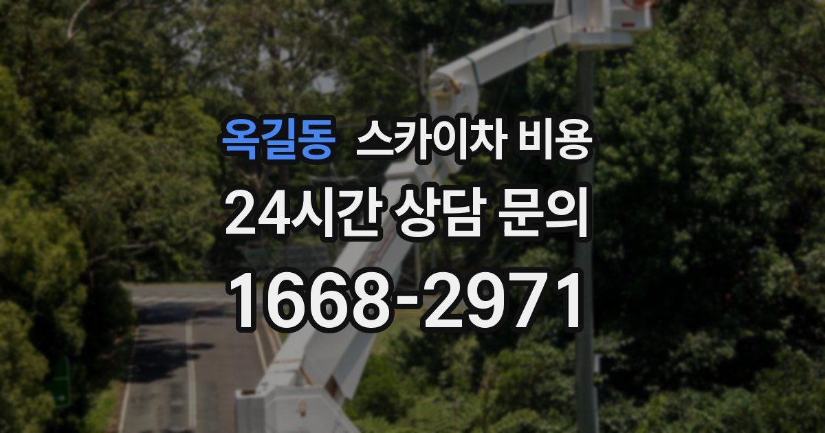 옥길동 스카이차 비용