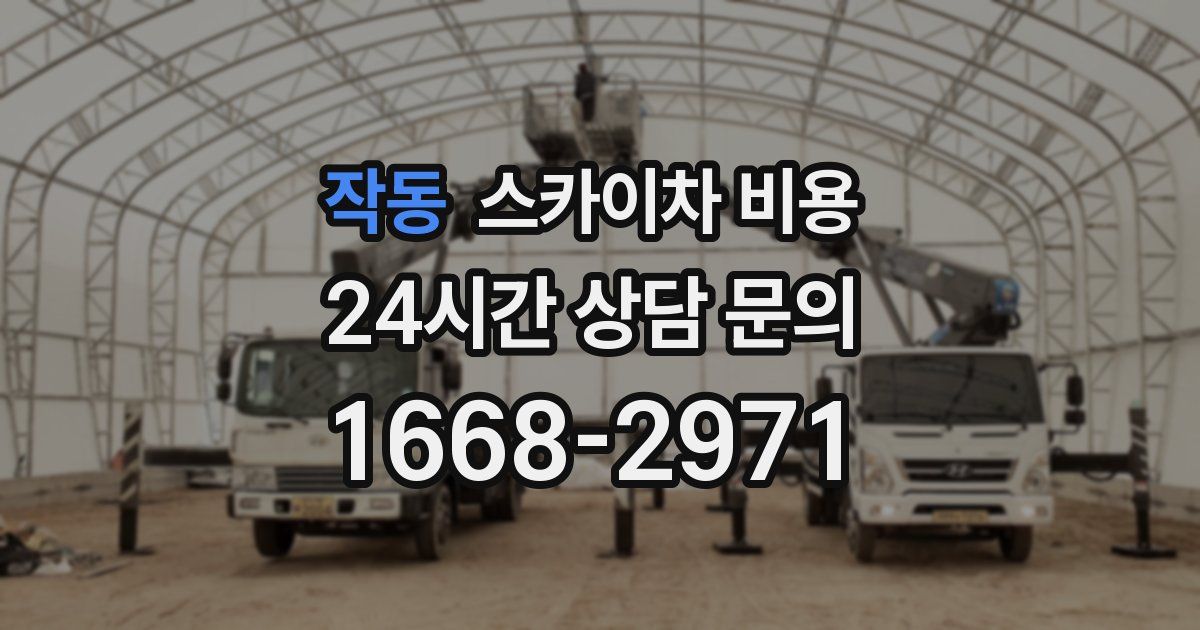 작동 스카이차 비용