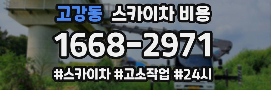 고강동 스카이차 비용